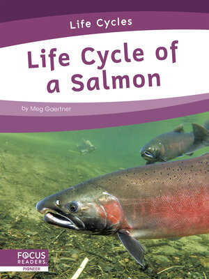 cover image of Life Cycle of a Salmon